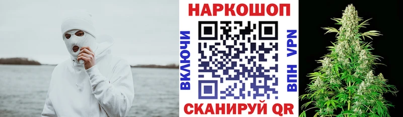 Псилоцибиновые грибы Грязовец