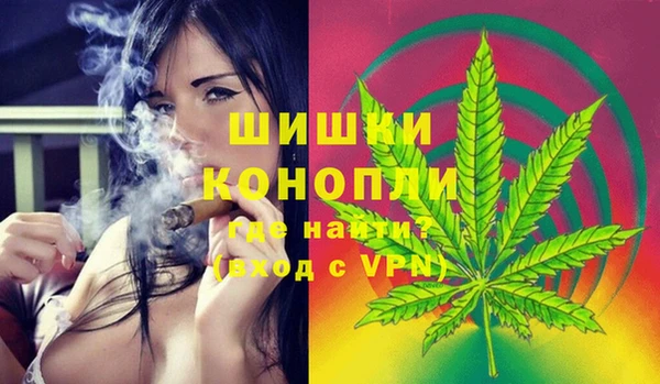 шишки Алзамай