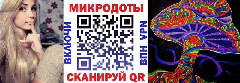 Галлюциногенные грибы Psilocybe  Грязовец 